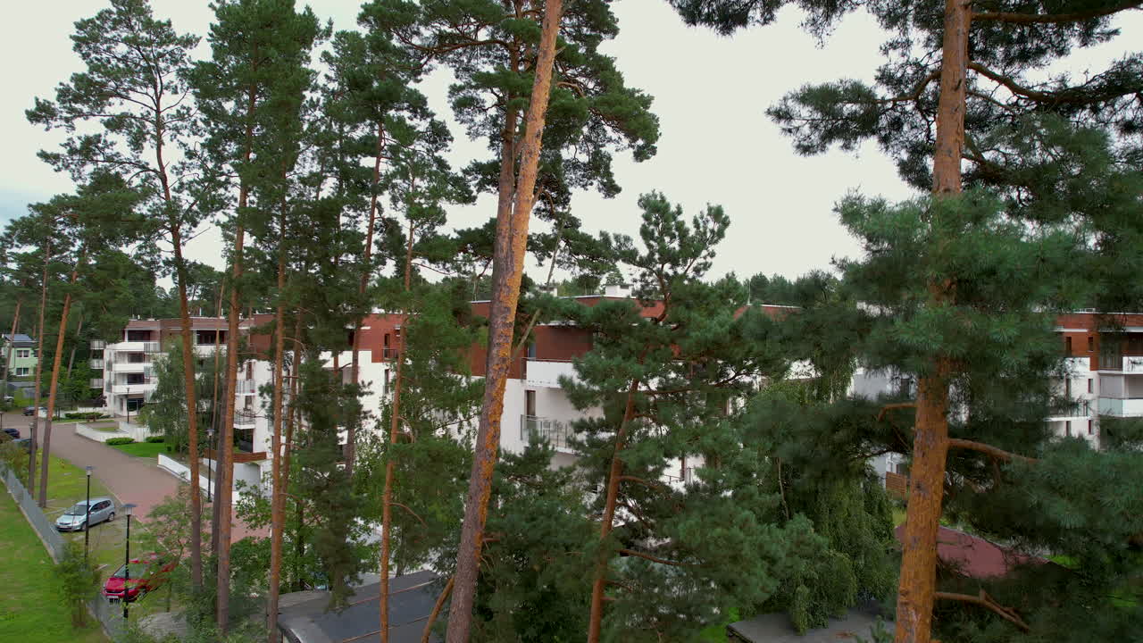 современные жилые здания, заглядывающие сквозь высокие сосновые деревья в спокойном районе