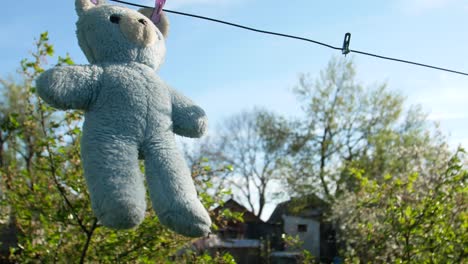washing and drying the bear video a teddy bear hangs from a clothesline after a washing video
