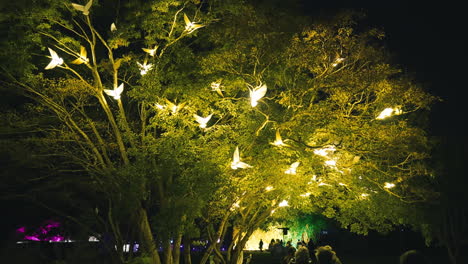 Exhibición-De-Pájaros-De-Luz-De-Arte-En-El-árbol-En-El-Jardín-Botánico-De-Sydney-Para-Vívidos-En-Cámara-Lenta