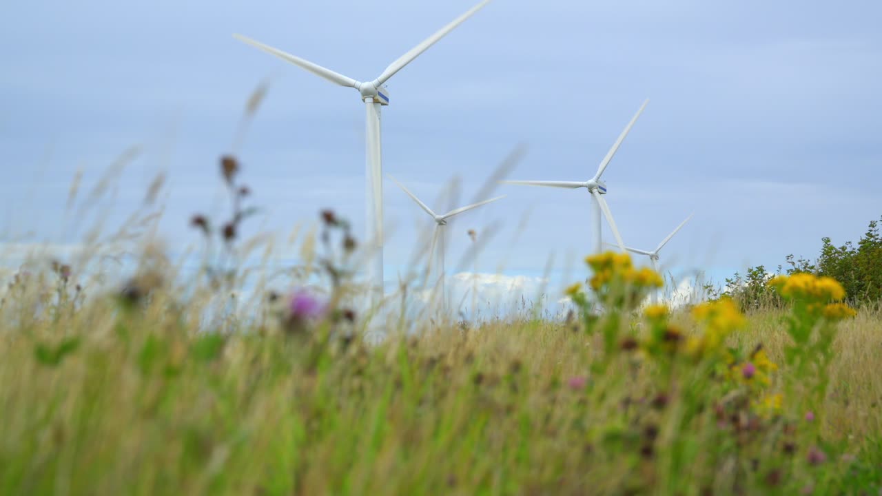 풍력 터빈은 풀과 꽃 피는 잡초를 통해 낮은 접근
