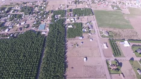 Lebaron-Territory,-Chuhuahua-Mexico-Lebaron-Family-walnut-trees