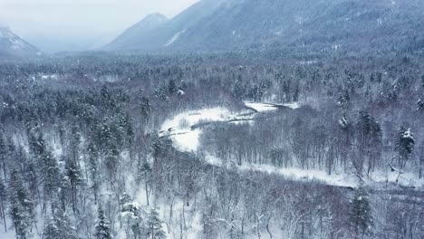 Schöner-Schneeszenenwald-Im-Winter.-Überfliegen-Von-Schneebedeckten-Kiefern.