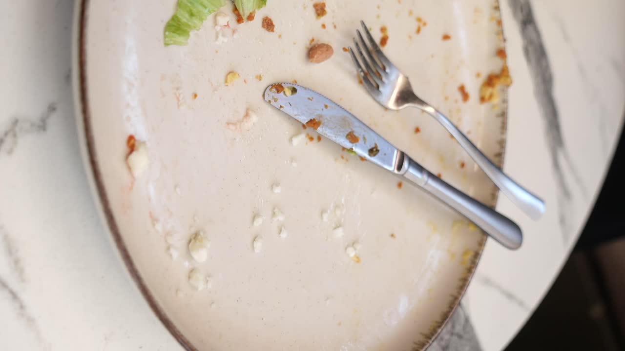 Empty Plate After Meal