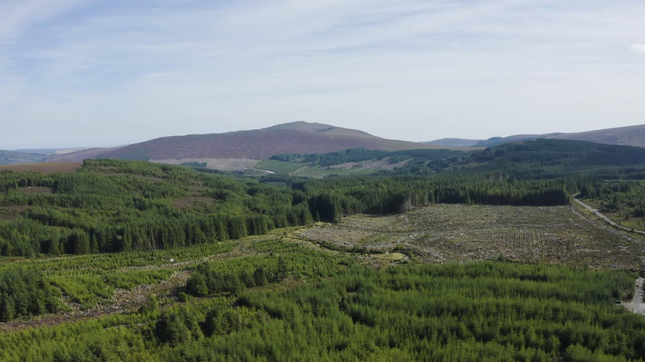 una toma aérea sobre los bosques con las montañas wicklow al fondo durante un día soleado con cielos azules-1