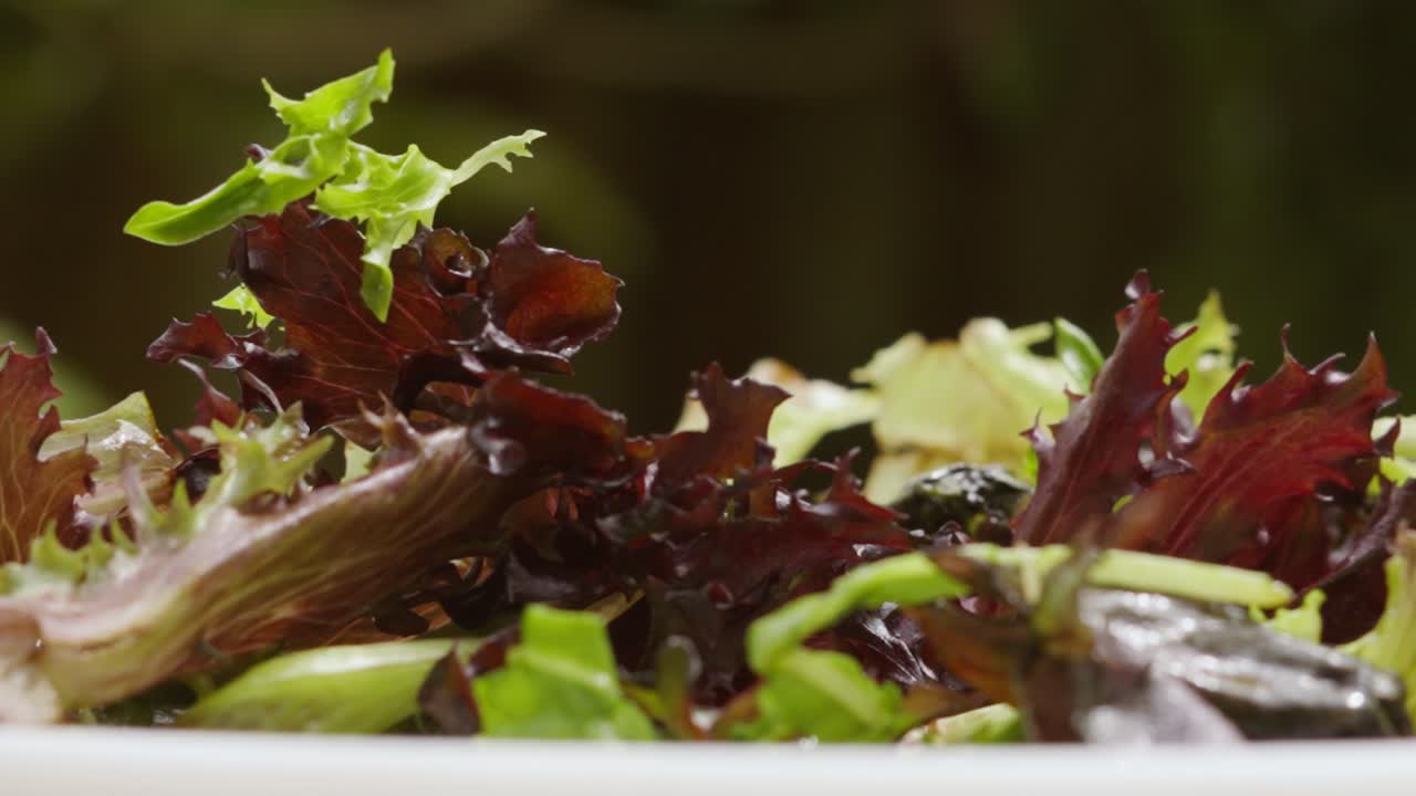 hojas de lechuga de ensalada orgánica sostenible que caen a velocidad normal a cámara lenta con poca profundidad de campo - al aire libre concepto de alimentación saludable comida 4k clip