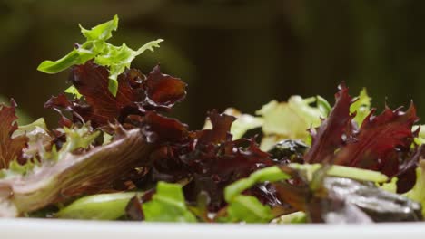 Hojas-De-Lechuga-De-Ensalada-Orgánica-Sostenible-Cayendo-A-Velocidad-Normal-A-Cámara-Lenta-Con-Poca-Profundidad-De-Campo---Concepto-De-Alimentación-Saludable-Al-Aire-Libre-Comida-4k-Clip