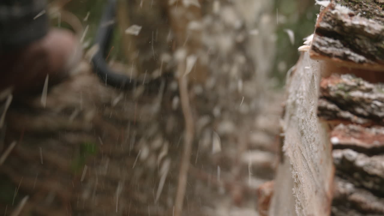 Rack focus from stump to chainsaw slow motion chain sawing a tree