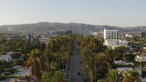 cinematic aerial through street lined with palm trees