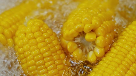 Corn-cobs-in-boiling-hot-water.-Maize-has-become-a-staple-food-in-many-parts-of-the-world,-with-the-total-production-of-maize-surpassing-that-of-wheat-or-rice.