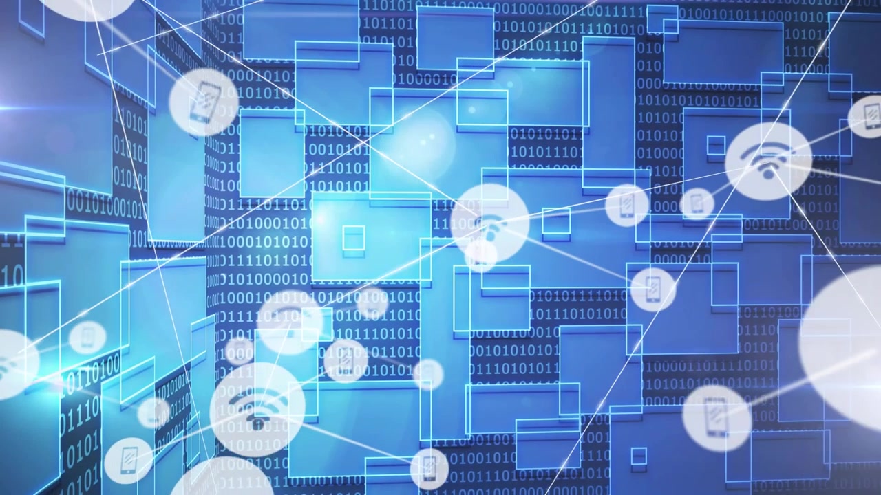 Digital Network Connection and Data Flow Visualization
