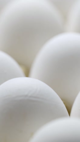 white chicken eggs in a cardboard box. eggs in a paper tray. vertical video
