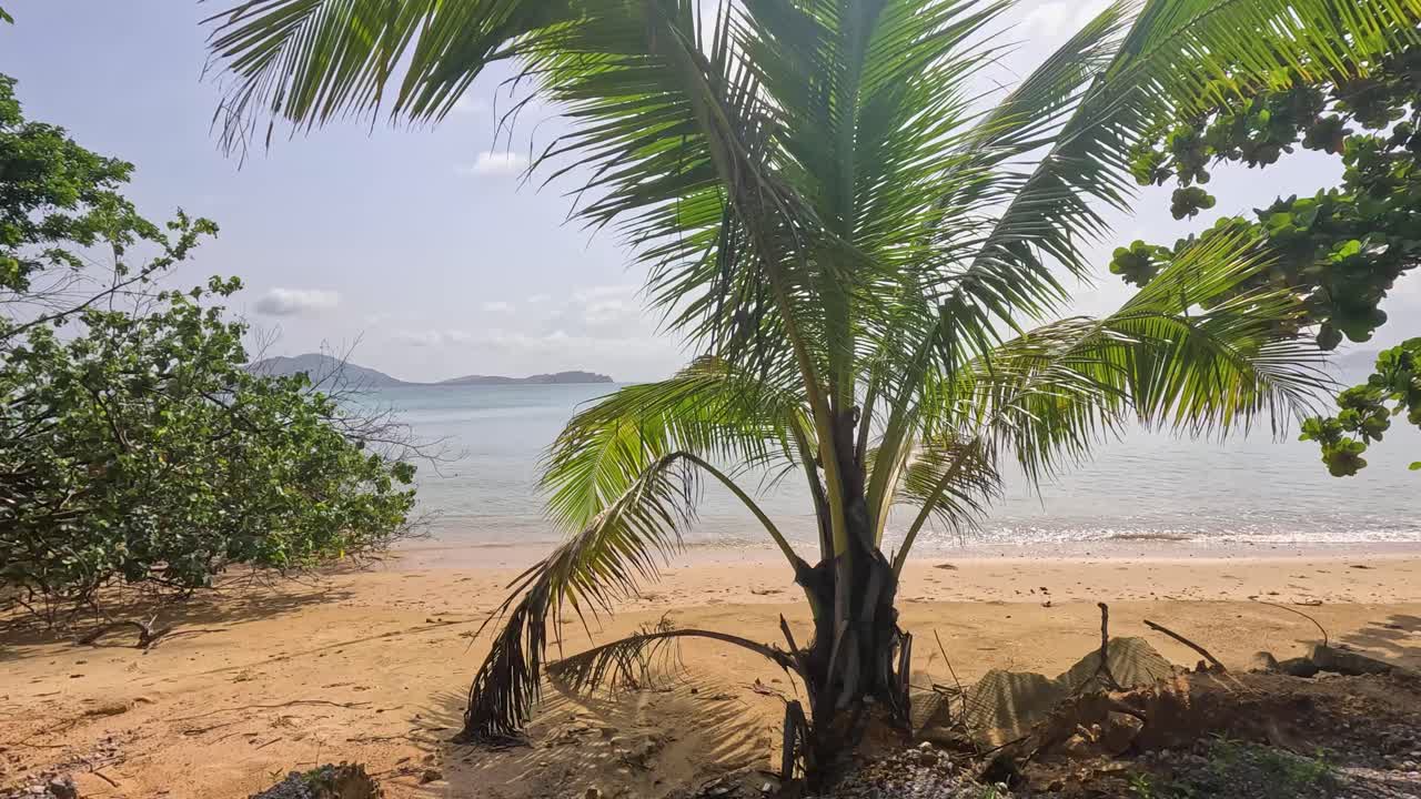 Wide daytime pan along a tranquil sandy beach with lush trees, calm sea, and distant islands under bright natural sunlight. Smooth camera movement
