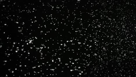stormy weather, snow falling, big snowflakes isolated on black background. real lens flare that is easy to use in blend / overlay modes.