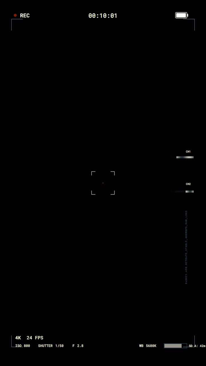 Digital Camera Viewfinder Interface Overlay