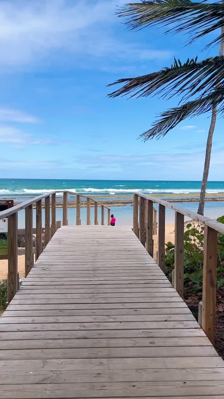 hermosa playa tropical con pasarela de madera