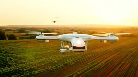 drone flying over a field at sunset