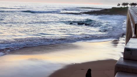 silueta de mujer tomando una foto selfie cuando pasea a su perro por la playa durante la puesta de sol con algunas olas rompiendo en la orilla