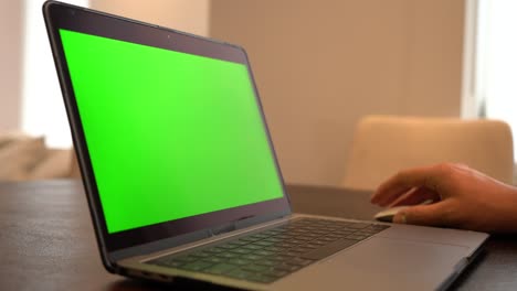 hombre de vista lateral usando una computadora portátil con pantalla verde