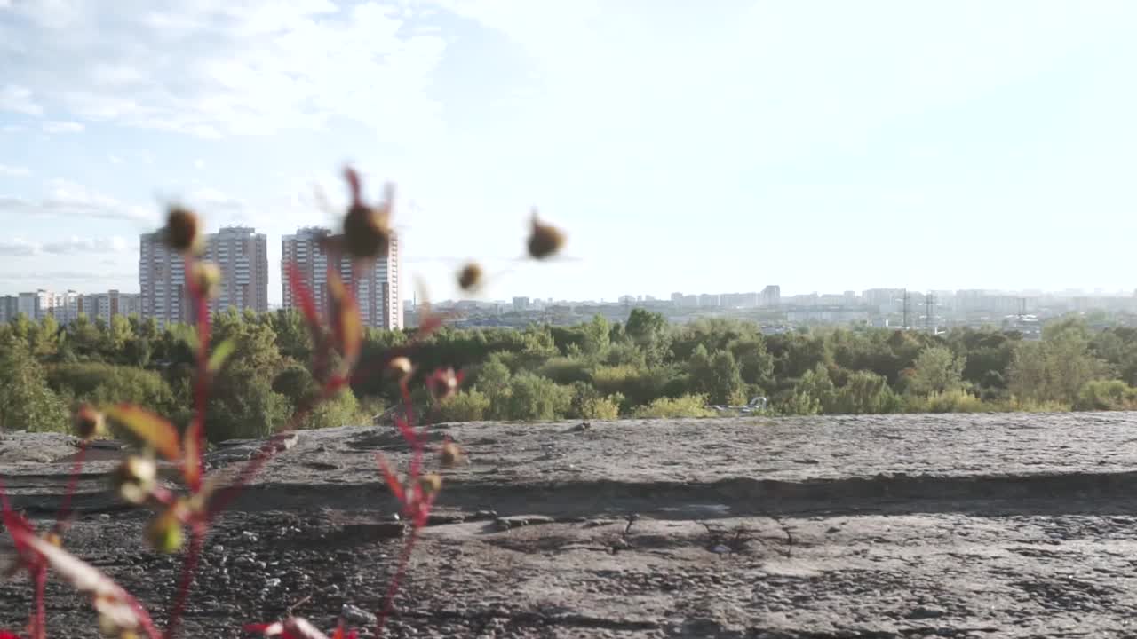 vista del paisaje urbano desde el techo
