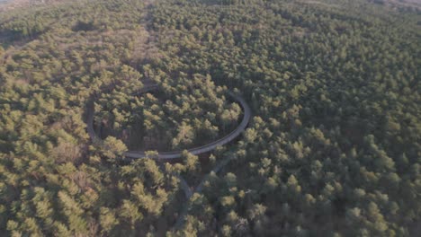 paisaje forestal sin fin con pista de paseo redonda, vista aérea de avión no tripulado