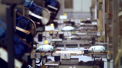 freshly packaged coffee beans on the factory conveyer belt