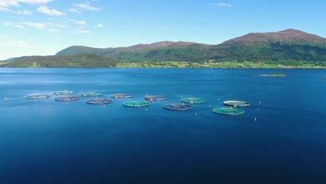 aerial footage farm salmon fishing in norway