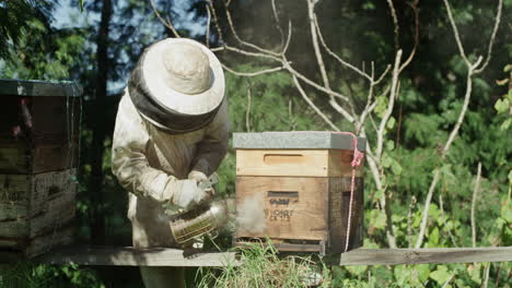 la presencia de las abejas proporciona un equilibrio ecológico
