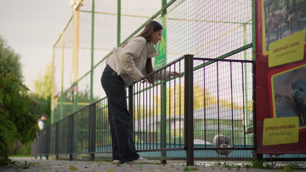 una mujer caucásica mira por encima de la barandilla al recinto de los animales durante una tarde dorada, con una larga trenza y abrigo, postura atenta, un cartel informativo cerca, un fondo suave de parque urbano, mirada atenta, pacífico