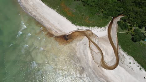 flying over the beach of são miguel dos milagres beach in the state of alagoas, brazil.