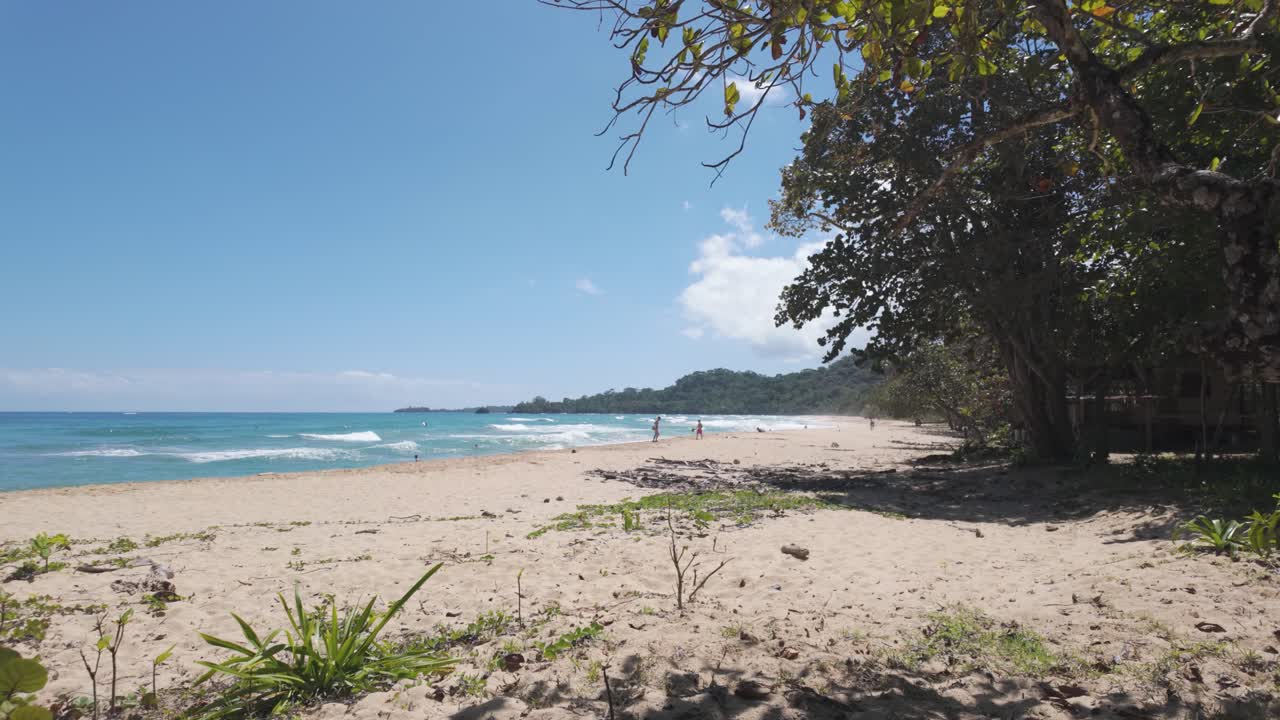 playa del mago, isla de bastimentos, panamá, con aguas claras y vegetación