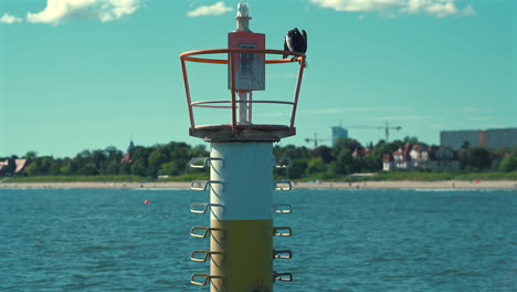 Bird-cormorant-waving-wings-on-the-lantern-near-the-sea-at-sunny-day