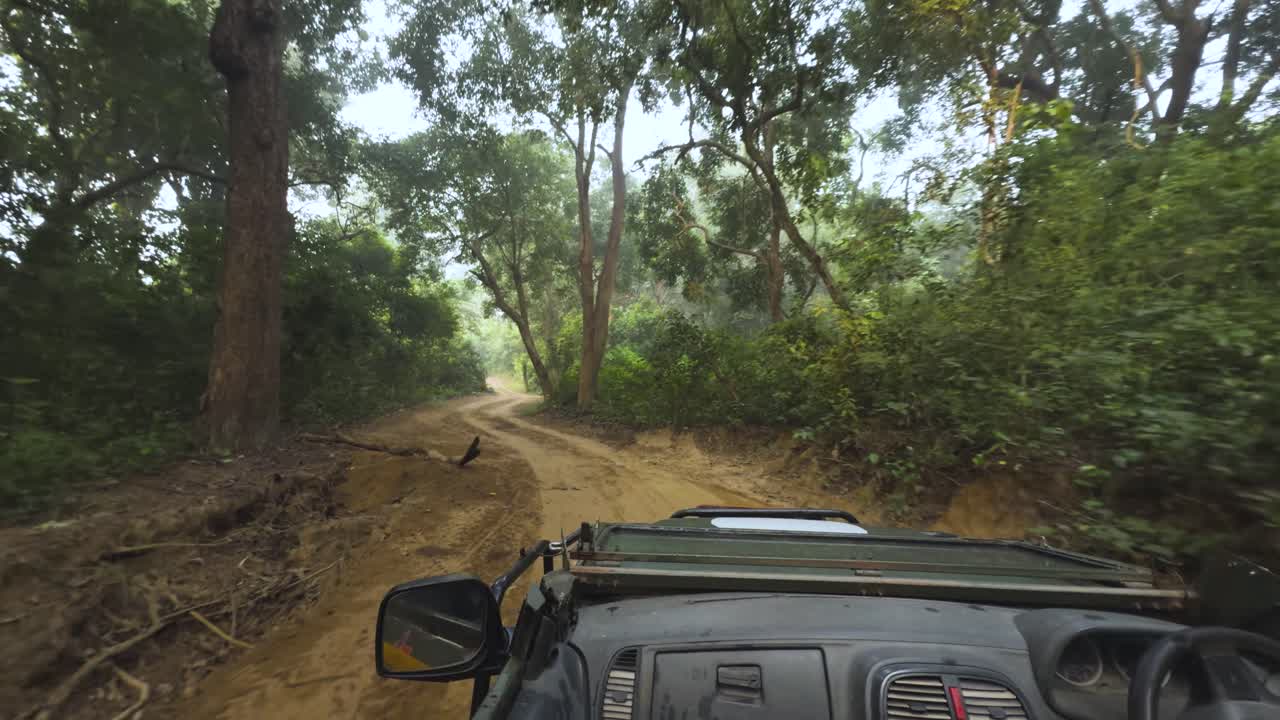 Kørsel i en jeep under en vildtreservatsafari i de tætte skove i Dudhwa Nationalpark i Uttar Pradesh, Indien