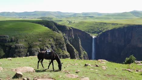 el caballo castaño oscuro del jinete come hierba antes de la cascada del desfiladero profundo
