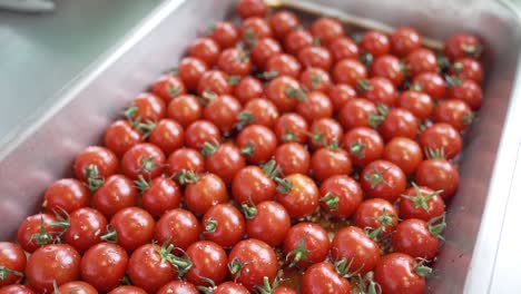 tomates crudos en una bandeja de limpieza en cámara lenta