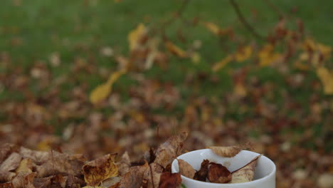 a forgotten coffee cup covered in leaves on an outdoor table