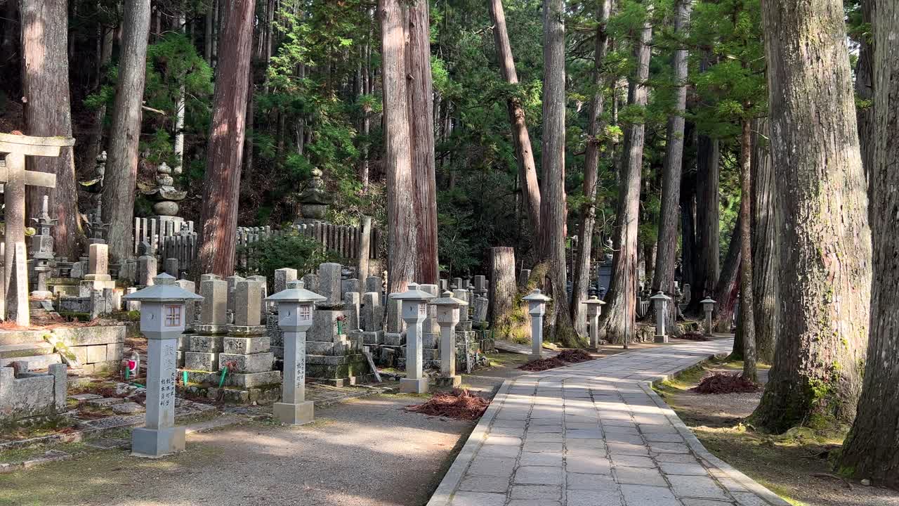 Pan across approach to Okunoin Temple in Koyasan, Japan