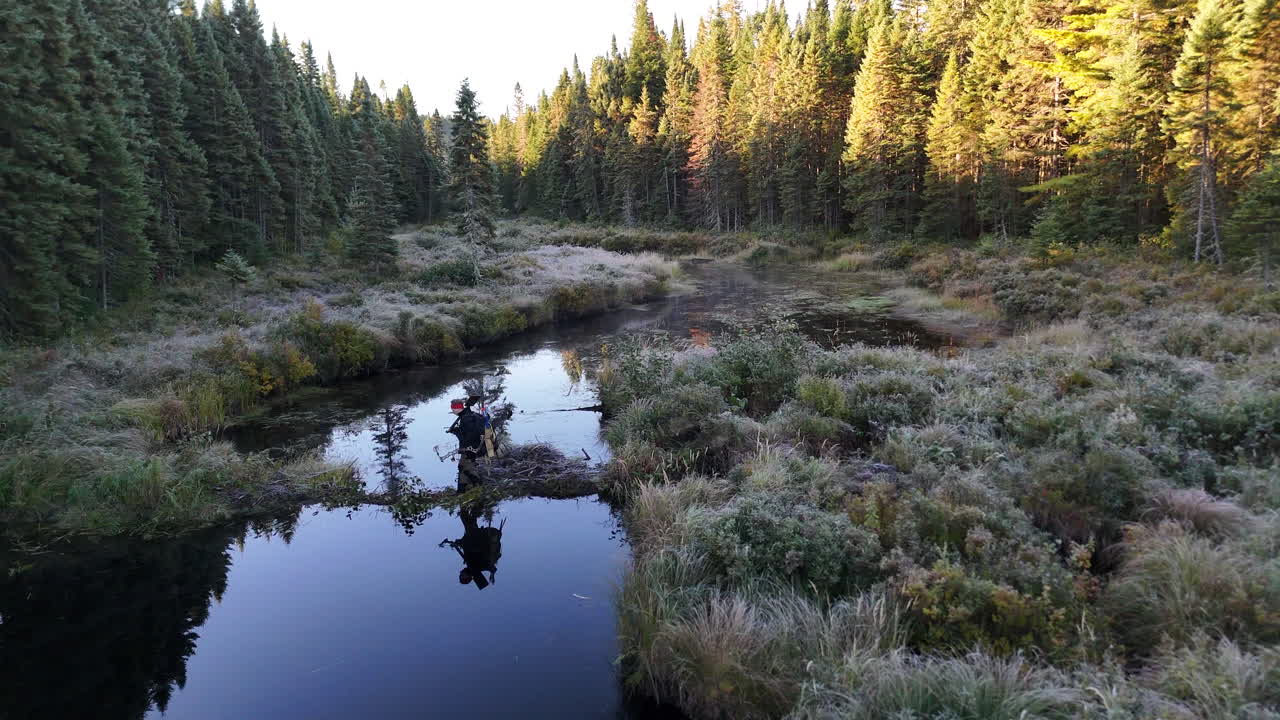 Ilmakuva dronella miehestä kävelemässä metsään joen rannalla, jossa on majavan pato, luonnollisen metsämaan ja rauhallisen ulkoilumaiseman ympäröimänä.