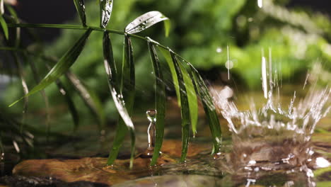 plantas en la orilla del río