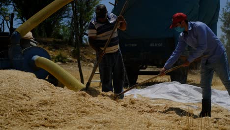 agricultor con pulverizador de heno