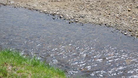 Acercándose-Al-Río,-A-La-Orilla-Del-Canal-Con-Un-Poco-De-Hierba-Y-Agua-En-El-Río-Bajo-El-Sol-De-Verano-Durante-El-Día-En-El-área-De-Fukushima---Vista-Del-Paisaje-Natural-En-4k-Uhd-Video-Filmación-Corta