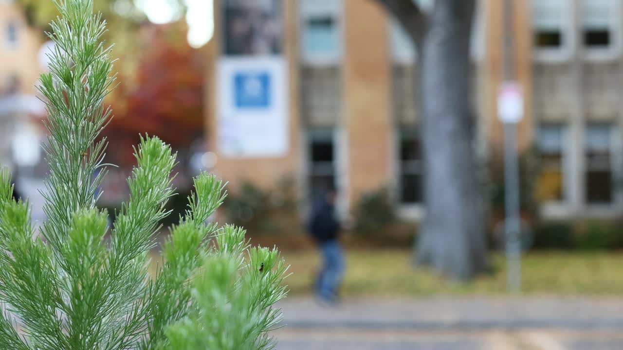 흐릿한 배경을 지나가는 사람들