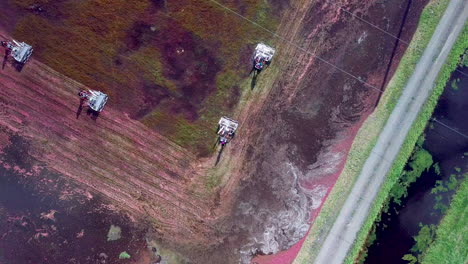 Von-Oben-Nach-Unten-Aufgenommene-Luftaufnahmen-Zeigen-Nach-Oben-Zeigende-Cranberry-Feldarbeiter,-Die-Sich-Auf-Erntemaschinen-Durch-Das-Moor-Bewegen