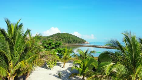 peaceful garden of vacations resort with beautiful palms planted on white sand of beach washed by calm turquoise lagoon