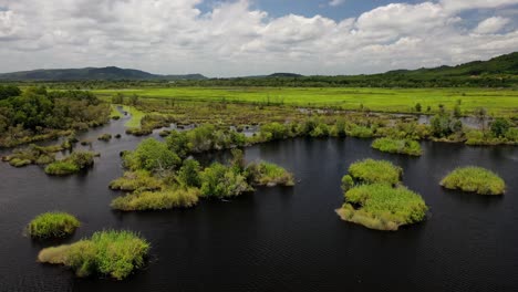 Lush-green-wetlands-around-mangroves-in-Botanical-Gardens,-Rayong-Thailand,-aerial-view-slow-dolly-backwards