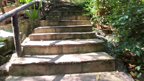 wooden stairs surrounded by vibrant greenery and nature