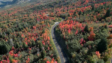 Una-Vista-Impresionante-Del-Colorido-Follaje-De-Otoño-Cerca-Del-Pico-Kyhv,-Utah,-Capturada-Desde-Una-Perspectiva-Aérea,-Con-Una-Carretera-Ondulada