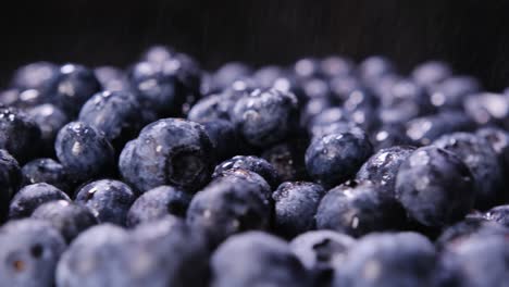 glistening juicy blueberries captured in stunning closeup showcasing their incredible freshness and. glistening, juicy blueberries captured in stunning closeup, showcasing their incredible freshness and vibrant colors