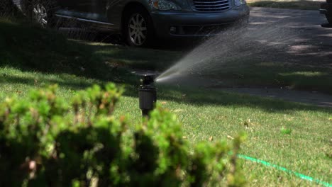 Ein-Schöner-Sprinkler-Ist-An-Einen-Schlauch-Angeschlossen-Und-Bewässert-Einen-üppigen-Garten-Mit-Blick-Auf-Einen-Schönen-Busch