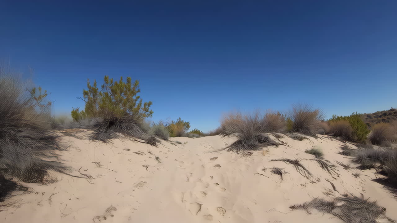 Desert Path with Footprints