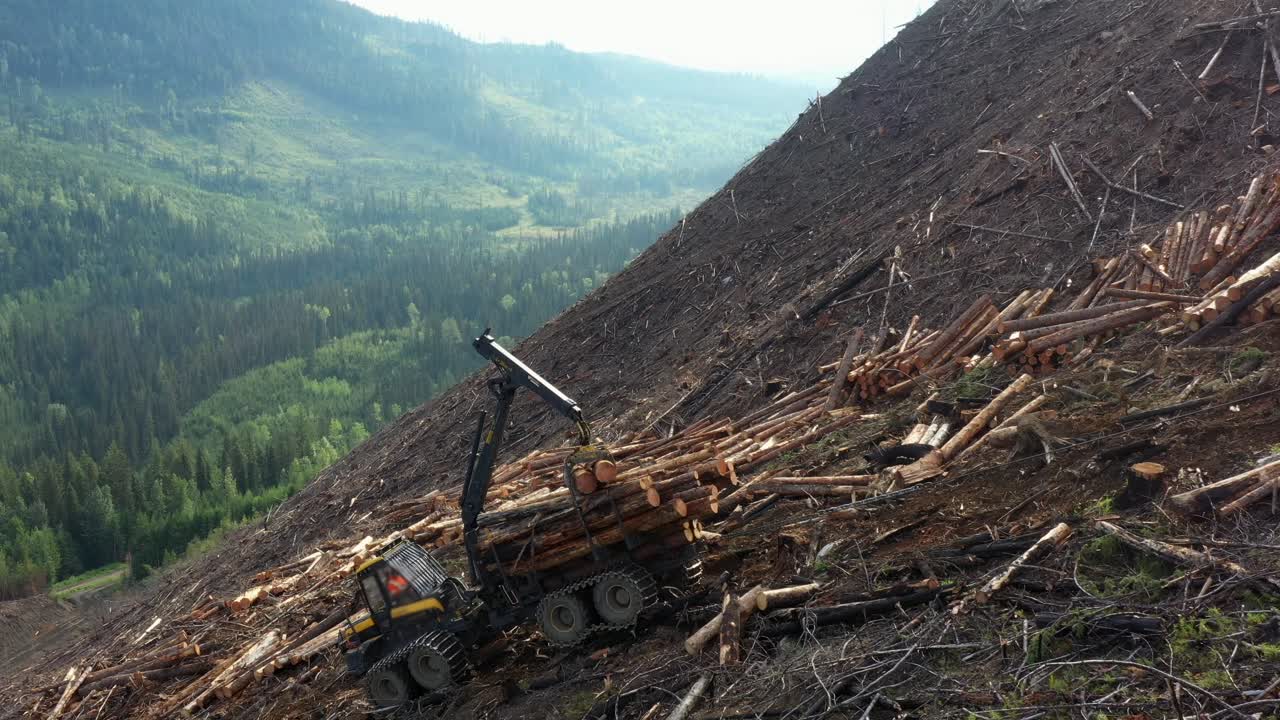 Timber Industry: Aerial Footage of Forwarder on Uphill Task